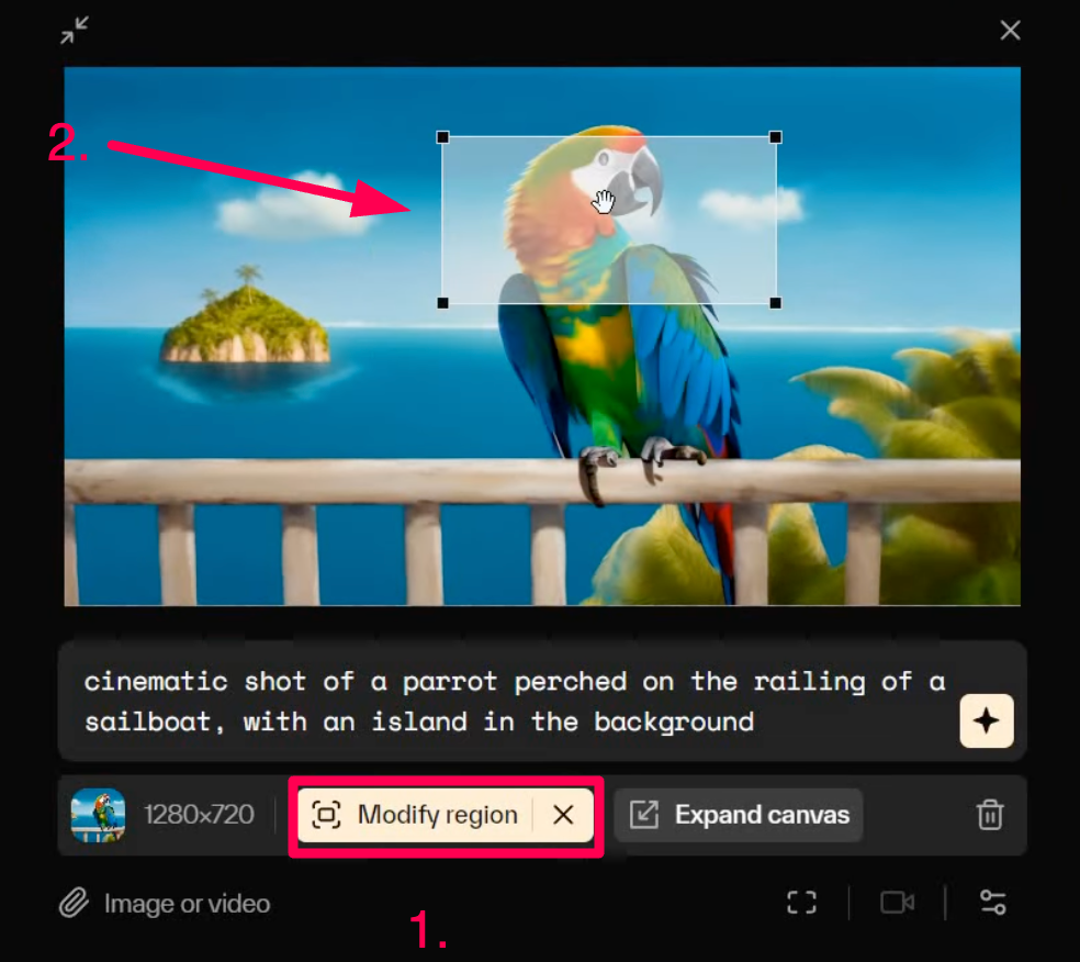 Pika Art Modify Region in video